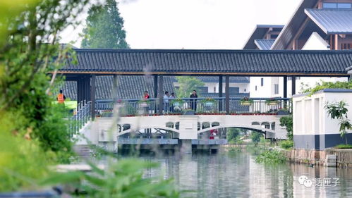 住在風景里，何必還要去找風景——宜興網站建設讓美麗鄉村觸手可及